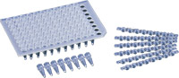 Ready-To-Go™ RT-PCR Beads