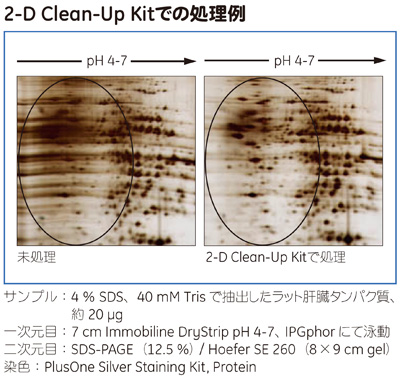 2-D Clean-Up Kitでの処理例