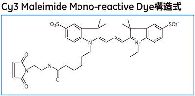 Cy3 Maleimide Mono-reactive Dye構造式