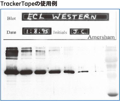 TrackerTapeの使用例