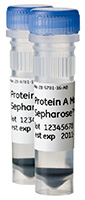 Protein A Mag Sepharose™ Xtra