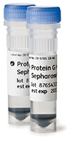 Protein G Mag Sepharose™ Xtra