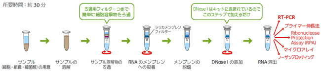 RNAspin Miniプロトコール