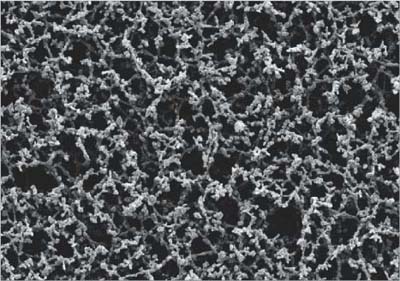Cellulose Acetate Membrane (Type ST 68, 0.8 μm) 