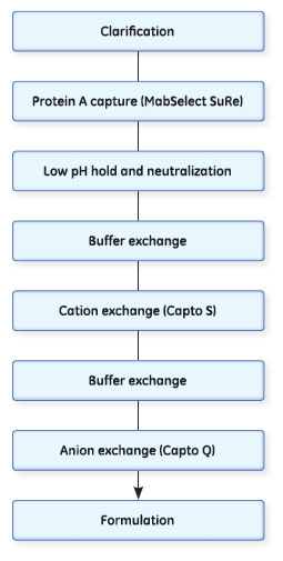 図1 Cobra Biologics社で開発された元々のMabSelect SuRe™、Capto™ S、Capto™ Sの3ステップ精製プロセス。