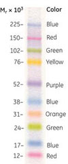 Full-range Rainbow™ Markers の分離パターン