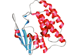 GST融合タンパク質イメージ図