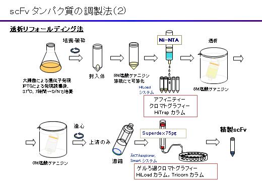 調整法2