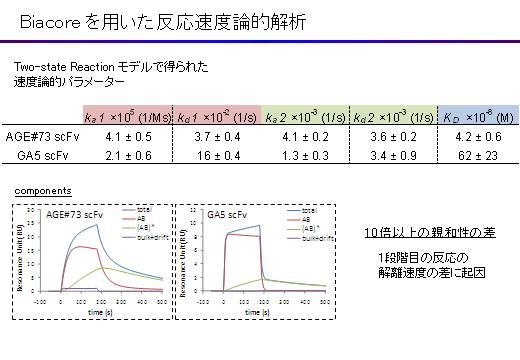 親和性の測定