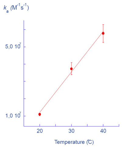 結合速度定数（ka）の温度依存性