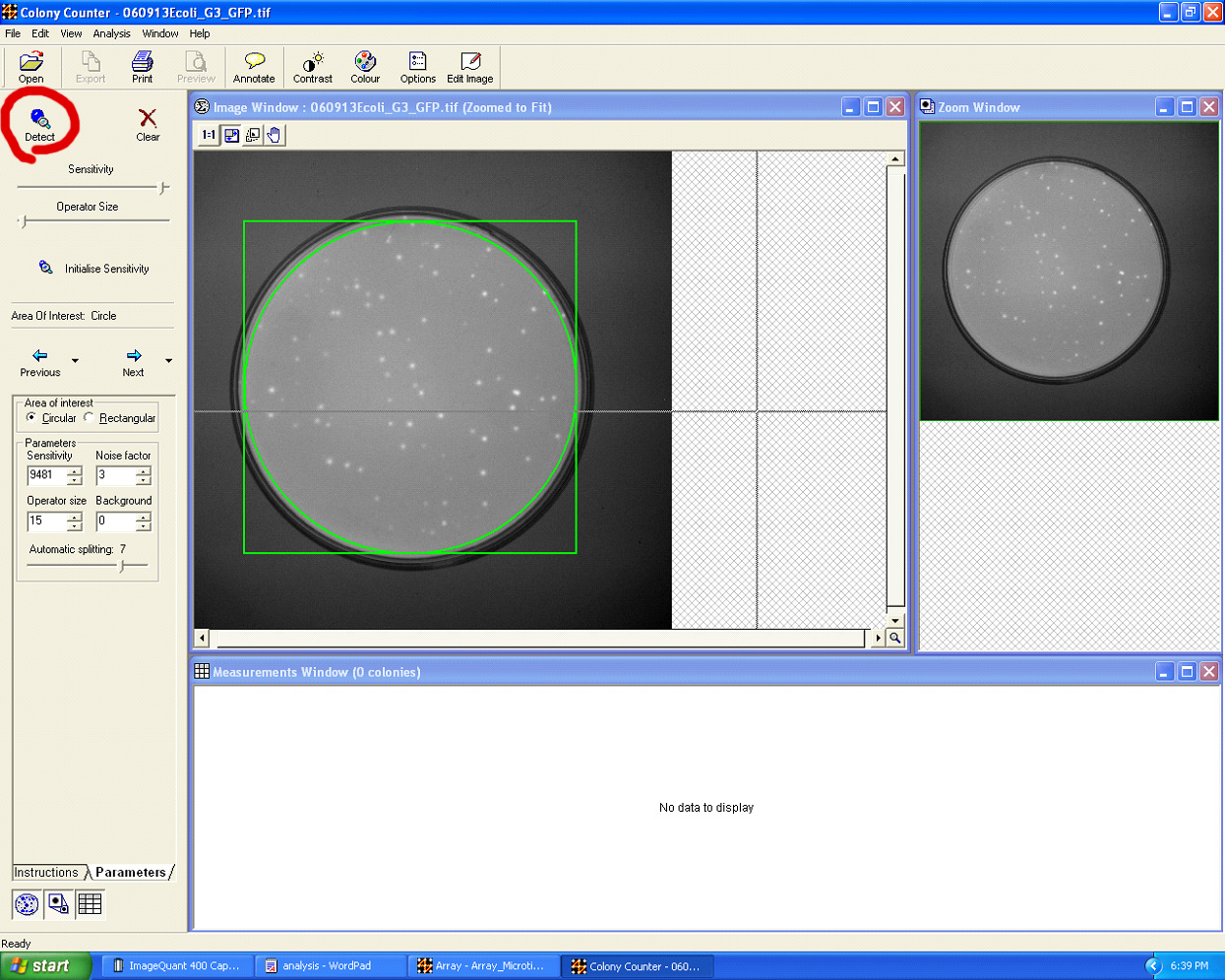 画像解析ソフトウェアimagequant Tlデモダウンロード