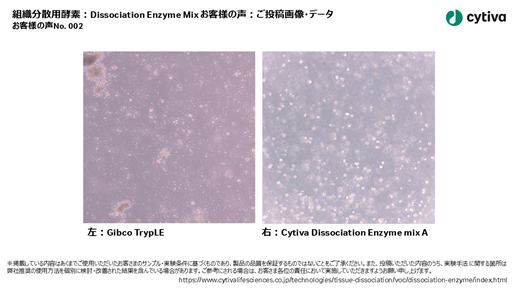 組織分散用酵素:Dissociation Enzyme Mix お客様の声 No002 組織分散用酵素:Dissociation Enzyme Mix お客様の声 No002