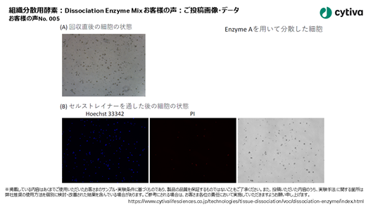 組織分散用酵素:Dissociation Enzyme Mix お客様の声 No005 組織分散用酵素:Dissociation Enzyme Mix お客様の声 No005