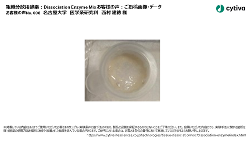 組織分散用酵素：Dissociation Enzyme Mix お客様の声 No008 名古屋大学 西村 建徳 様