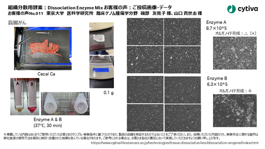 組織分散用酵素：Dissociation Enzyme Mix お客様の声 No011 東京大学　医科学研究所　臨床ゲノム腫瘍学分野　磯部　友見子 様、山口 貴世志 様