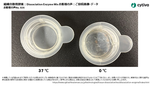 組織分散用酵素:Dissociation Enzyme Mix お客様の声 No026 組織分散用酵素:Dissociation Enzyme Mix お客様の声 No026