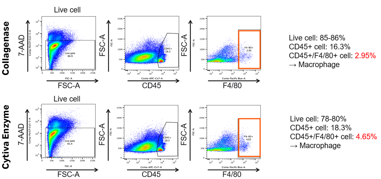 フローサイトメトリー解析結果とまとめ