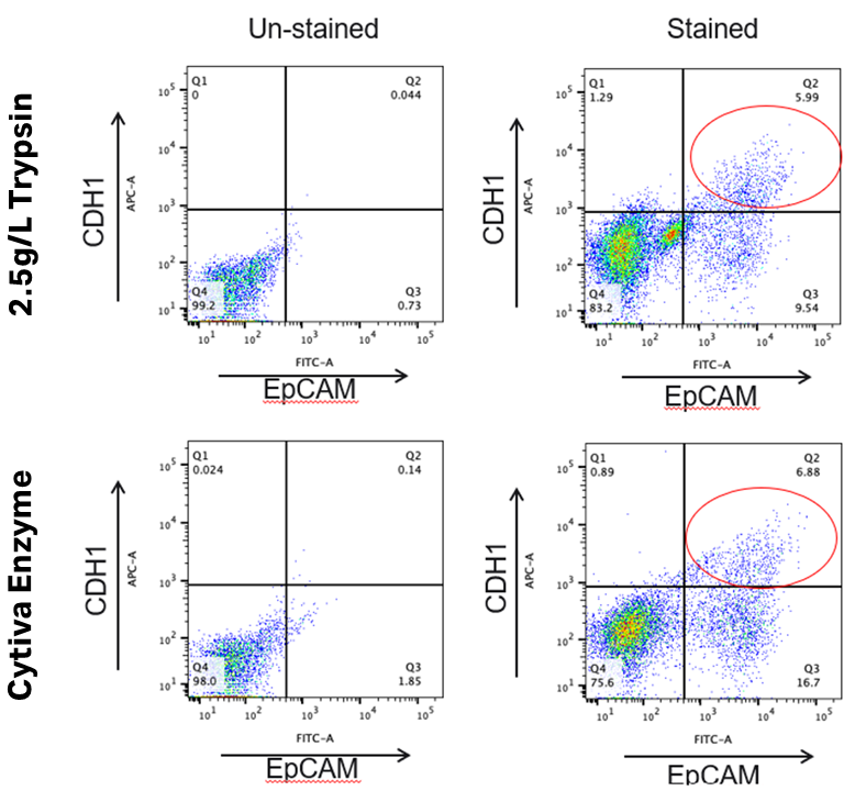 フローサイトメトリー解析結果